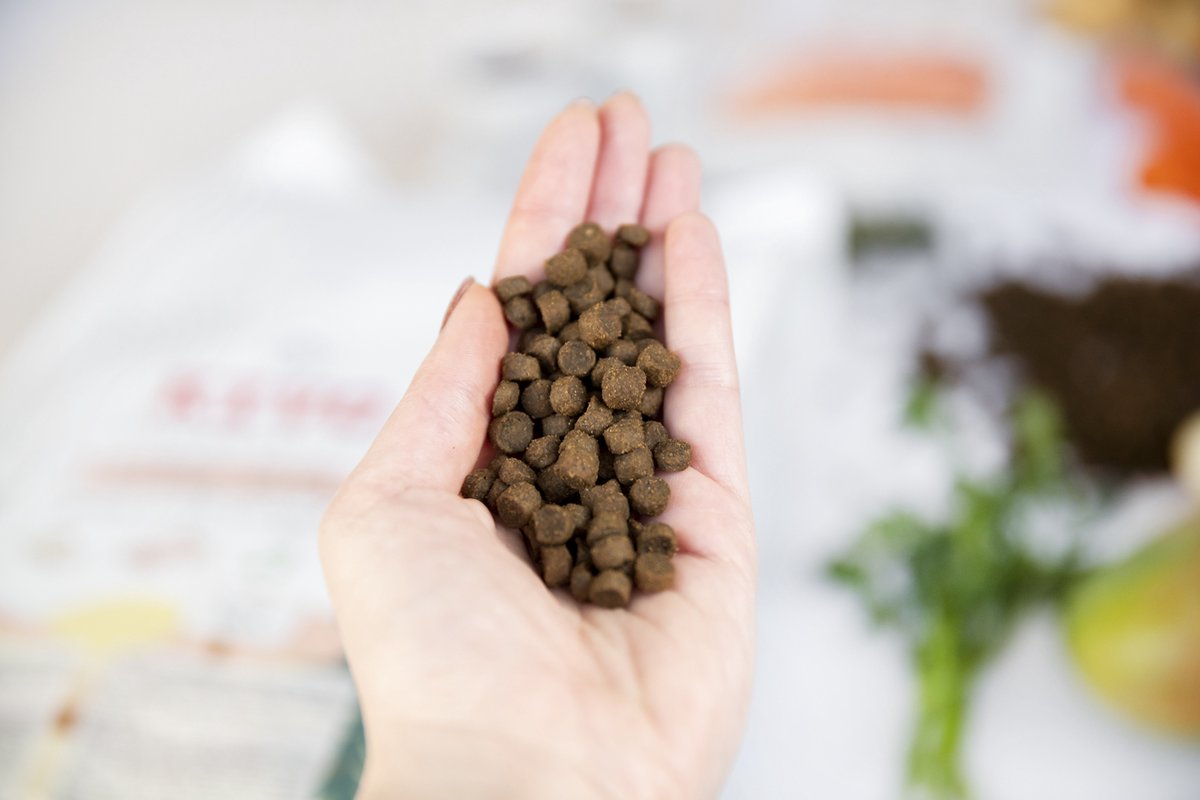  Kivo Petfood Kattenbrokken Verse Zalm - 5 Kg - Graanvrij
