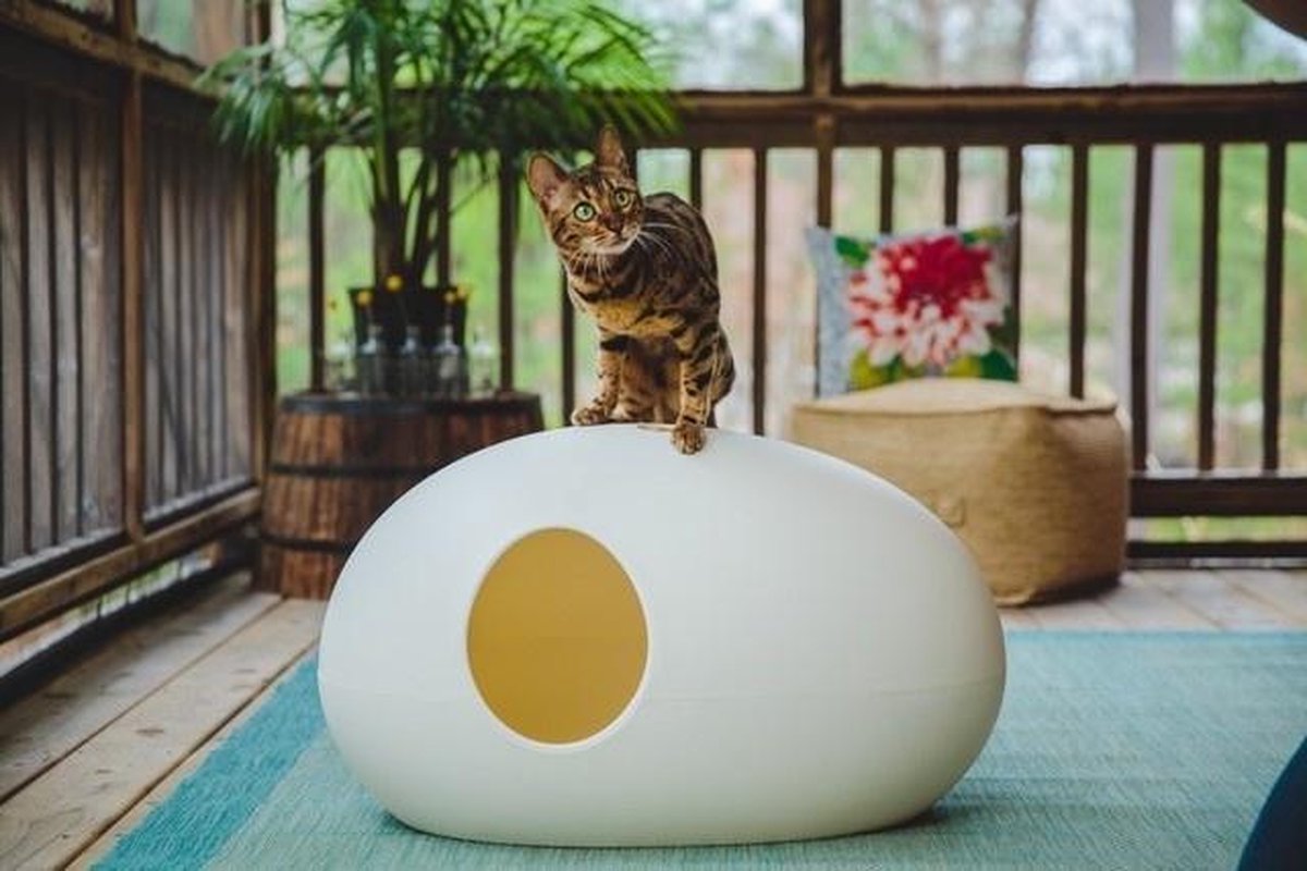  SinDesign Poopoopeedo Kattenbak - Zwart