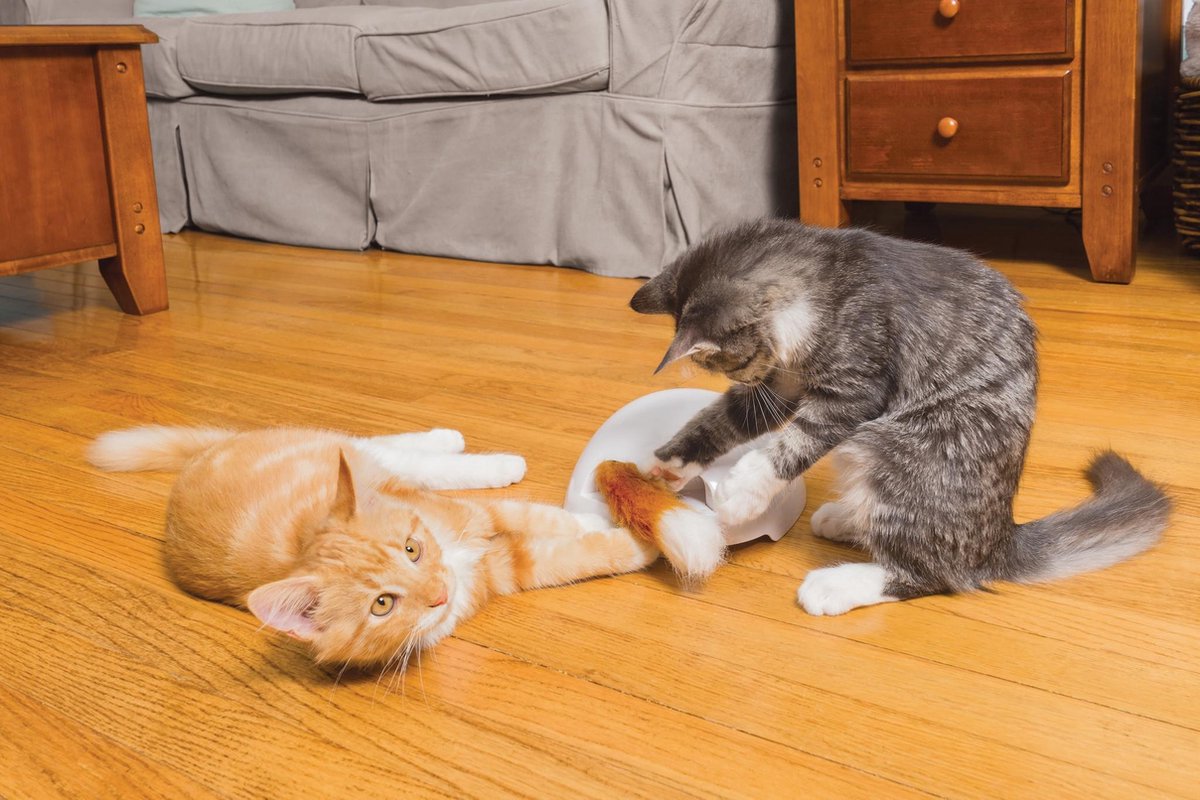  FroliCat Vossenhol - Automatische Kattenplager - Kattenspeelgoed