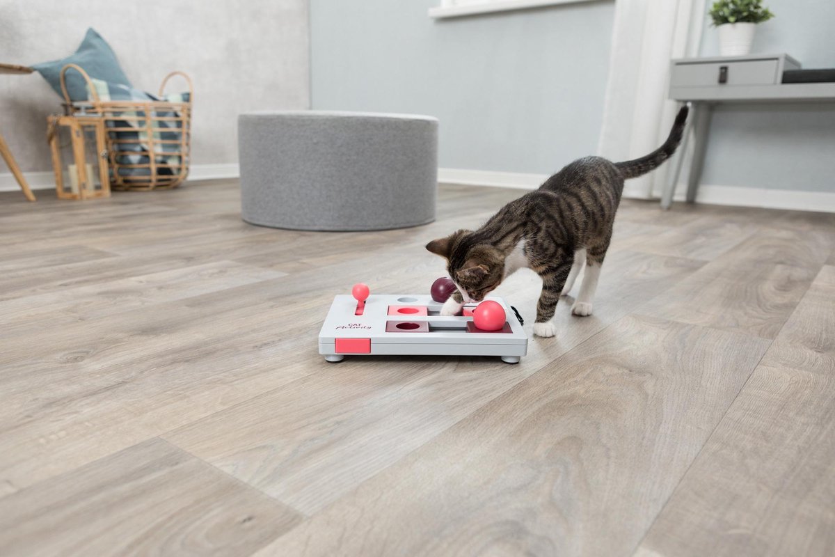  Trixie Cat Activity Brain Mover - 25 X 20 Cm