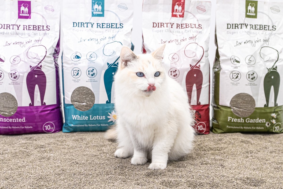  Dirty Rebels Kattenbakvulling - 10 L - Geurloos / Zonder Geur - Sterk Klontvormend - Stofvrij - 100% Natuurlijk - Premium Kwaliteit Van Petrebels