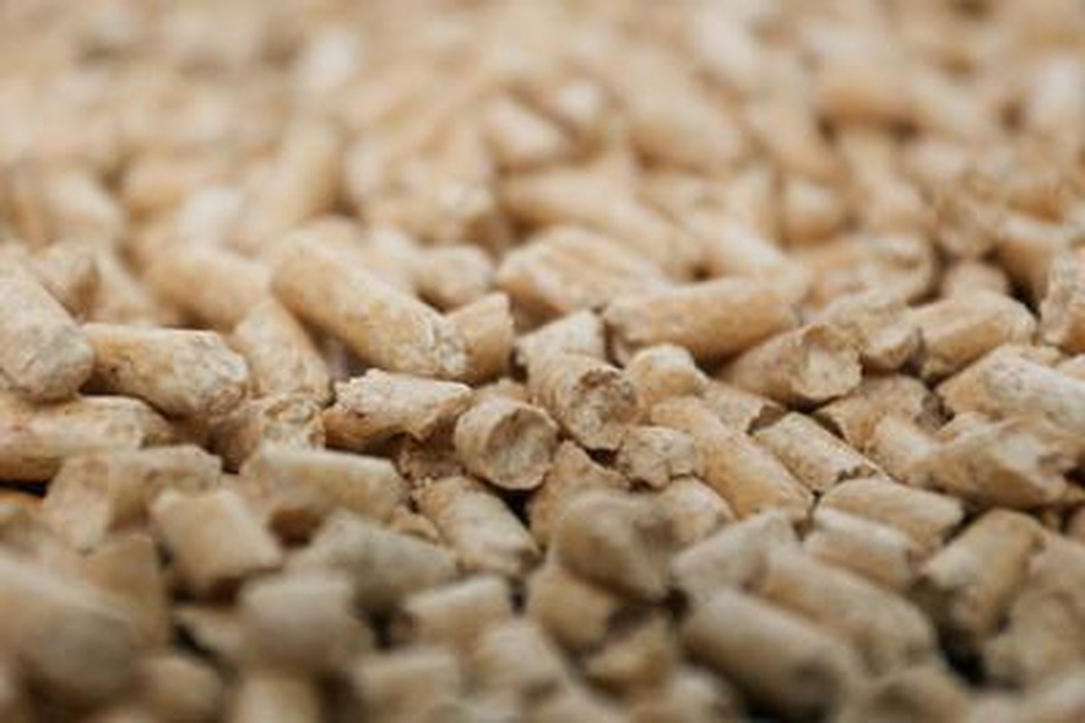  Peewee Houtkorrels - Kattenbakvulling - 3 Kg