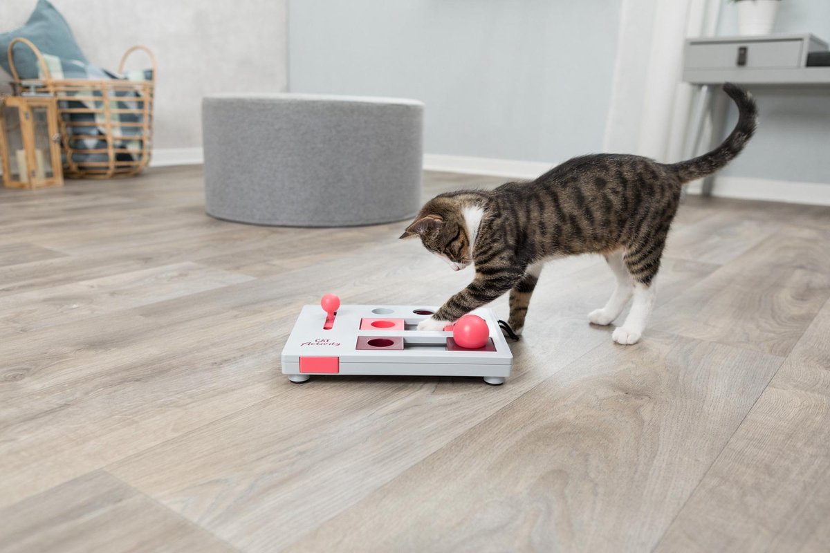  Trixie Cat Activity Brain Mover - 25 X 20 Cm