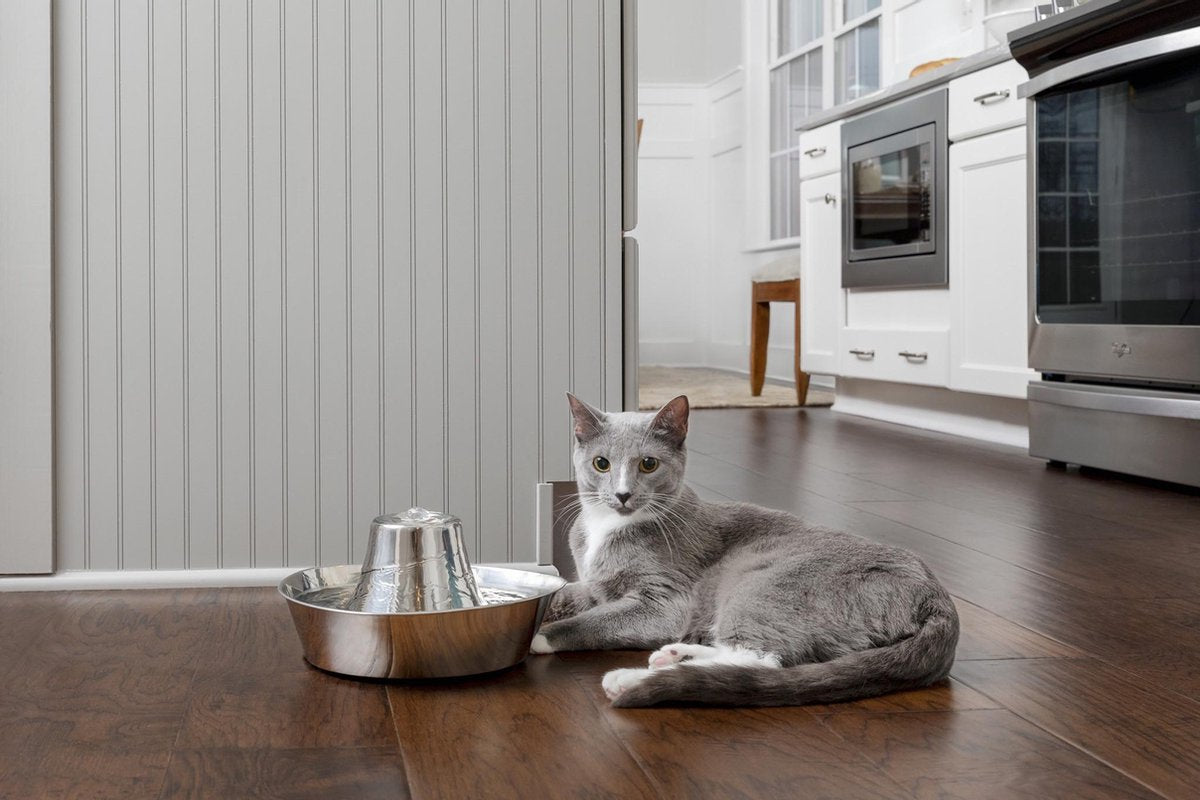  PetSafe® Seaside Stainless Steel Pet Fountain - RVS Drinkfontein Voor Katten En Kleine Honden - Water Borrelt Zacht Over De Toren - Door Het Design Van Alle Kanten Bereikbaar - 1,8 Liter - PetSafe Seaside