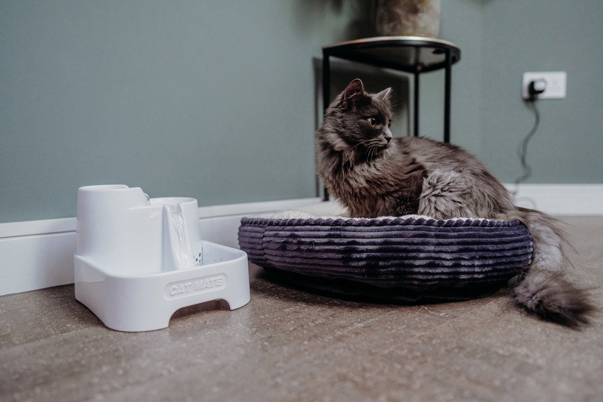  Cat Mate - Waterfontein Kat - Kattenfontein - Drinkfontein Kat - Fluisterstil - Poezen Fontein - Dieren Drinkbakken - Honden Fontein - 2 L