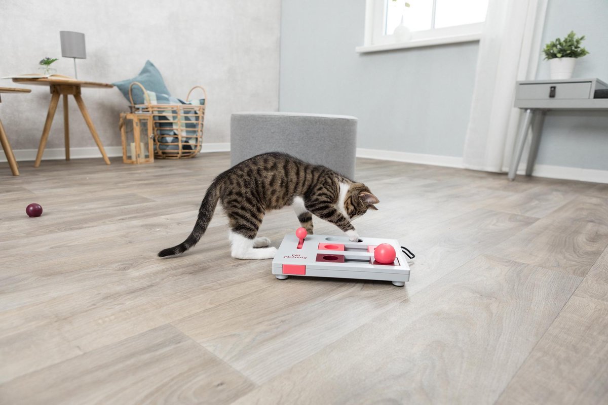  Trixie Cat Activity Brain Mover - 25 X 20 Cm