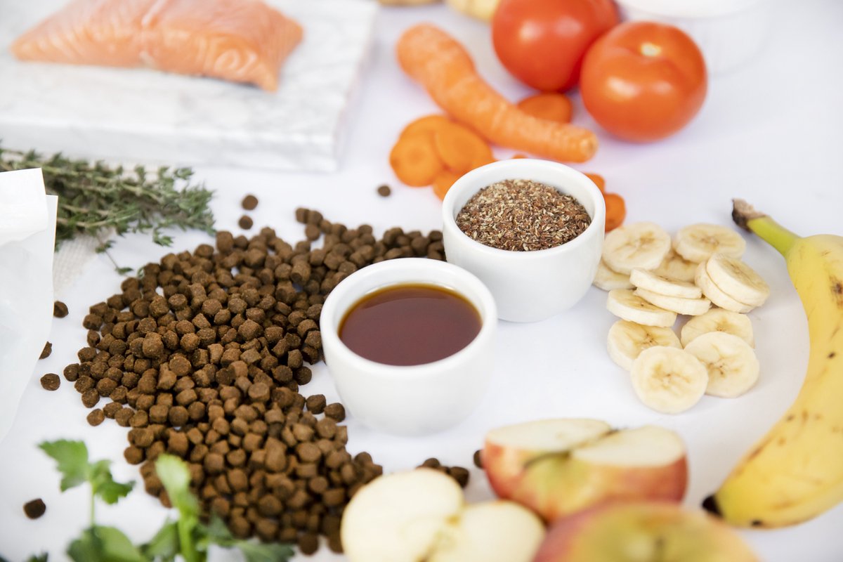  Kivo Petfood Kattenbrokken Verse Zalm - 5 Kg - Graanvrij