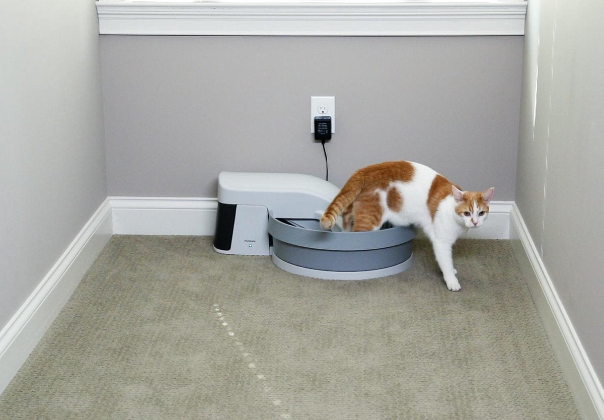  Zelfreinigende Kattenbak - PetSafe Simply Clean - Fluisterstil Met Koolstoffilter Tegen Geurtjes