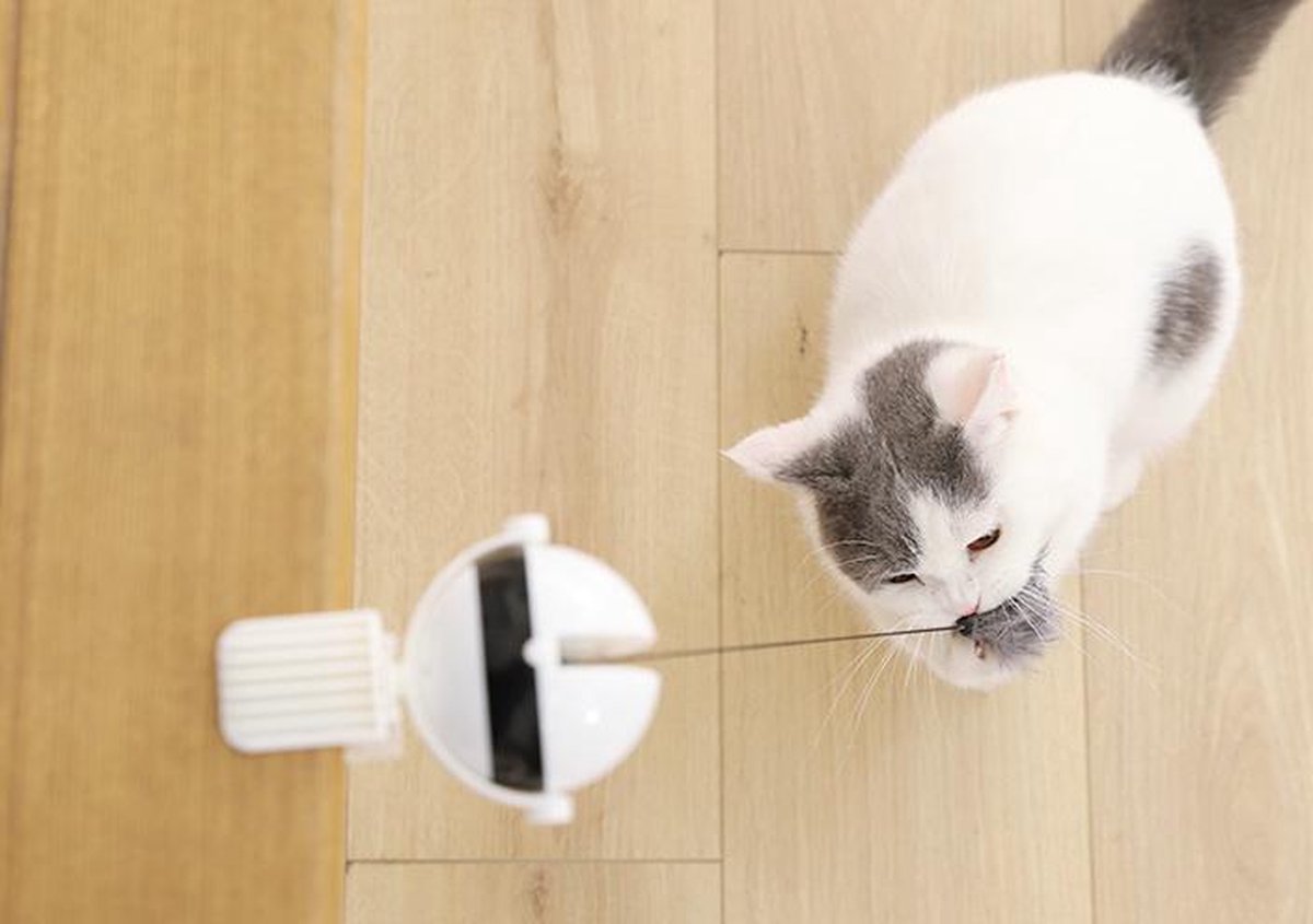 Merkloos Kattenhengel - Elektrisch Kattenspeelgoed - Kattenspeeltjes - Automatische Hengel - Kitten Speelgoed - Interactief Kattenspeelgoed - Bal - Katten - Poesjes - Kitten - Kat - Kattenbal - Kattenspeeltjes Intelligentie