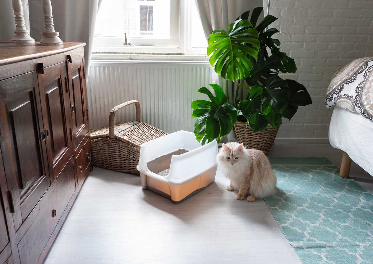  Iris Ohyama Kattenbak Open CLH-12 - Kunststof - Taupe/Wit - Met Schepje