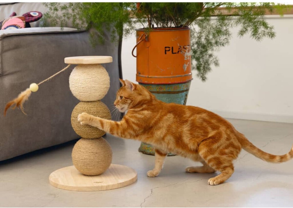  Designed By Lotte Kattenkrabbollen Elio 34x47.5 Cm Hout