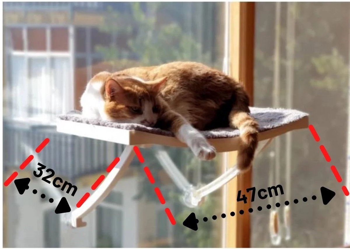  Hobipets - Kattenmand Raam - 5 Zuignappen - Hangmat Kat Raam