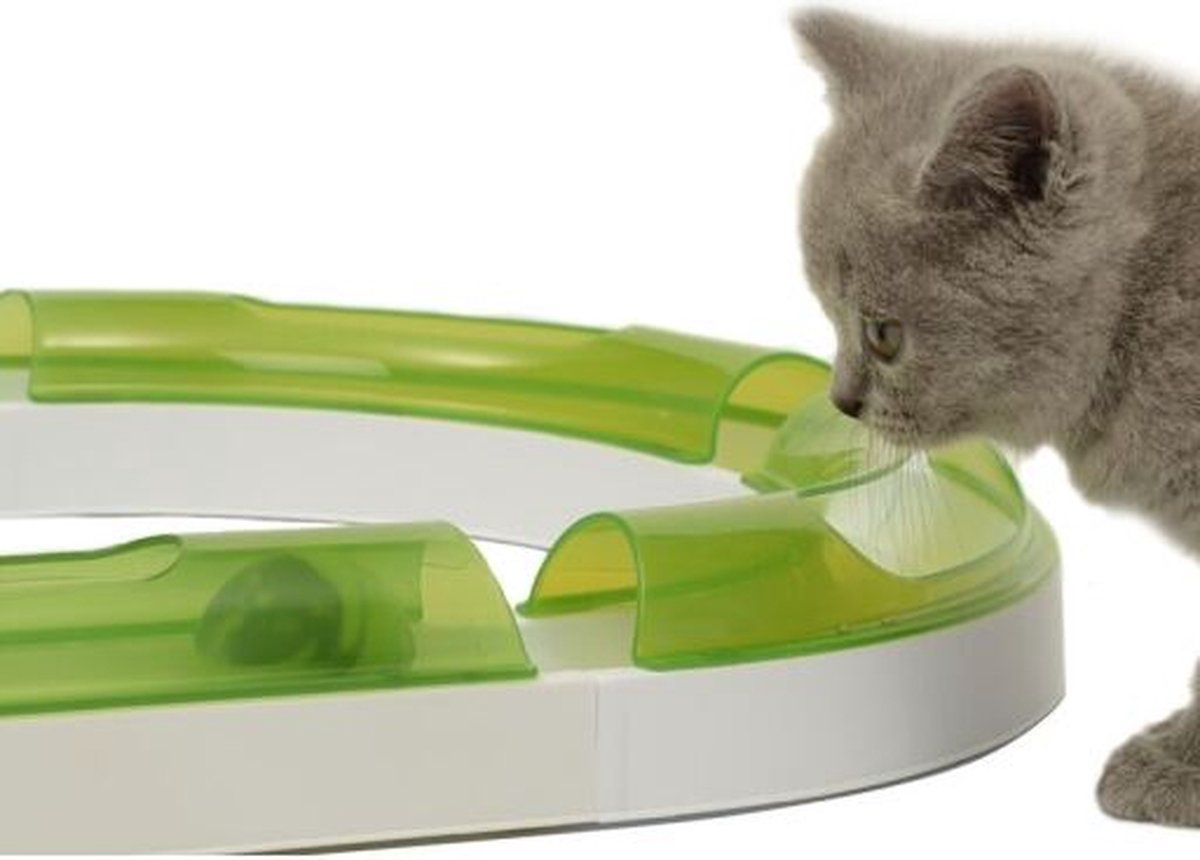  Cat-It Senses 2.0 Play Circuit - Kattenspeelgoed - Extra Lange Speelbaan