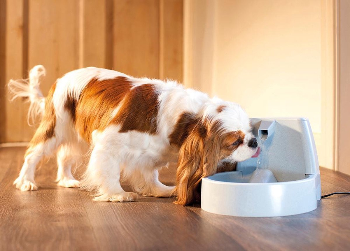  Petsafe Drinkwell Platinum - Drinkfontein - 5 L