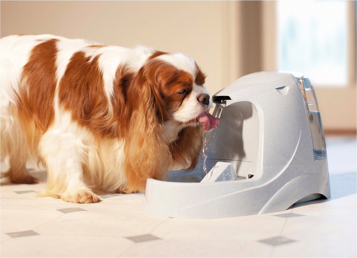 Petsafe Drinkwell Platinum - Drinkfontein - 5 L