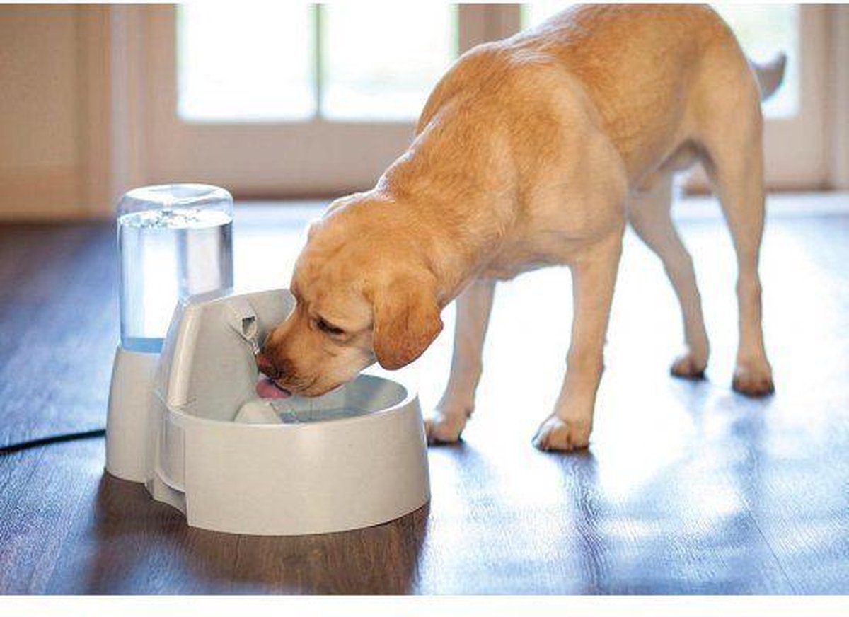  Petsafe Drinkwell Platinum - Drinkfontein - 5 L