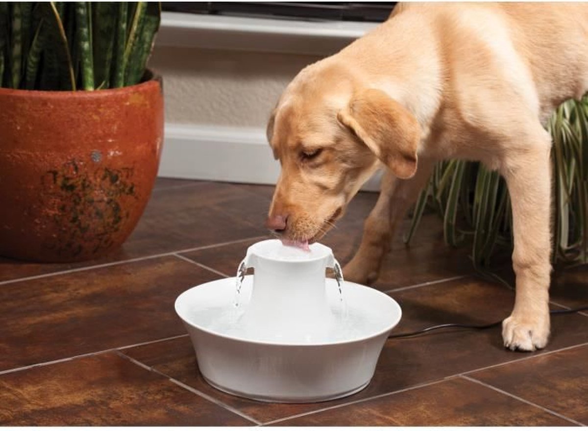  Petsafe Drinkwell Ceramic Avalon - Drinkfontein - 2 L