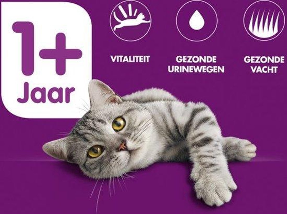  Whiskas 1+ Kattenbrokken - Kip - Zak 1 X 7 Kg