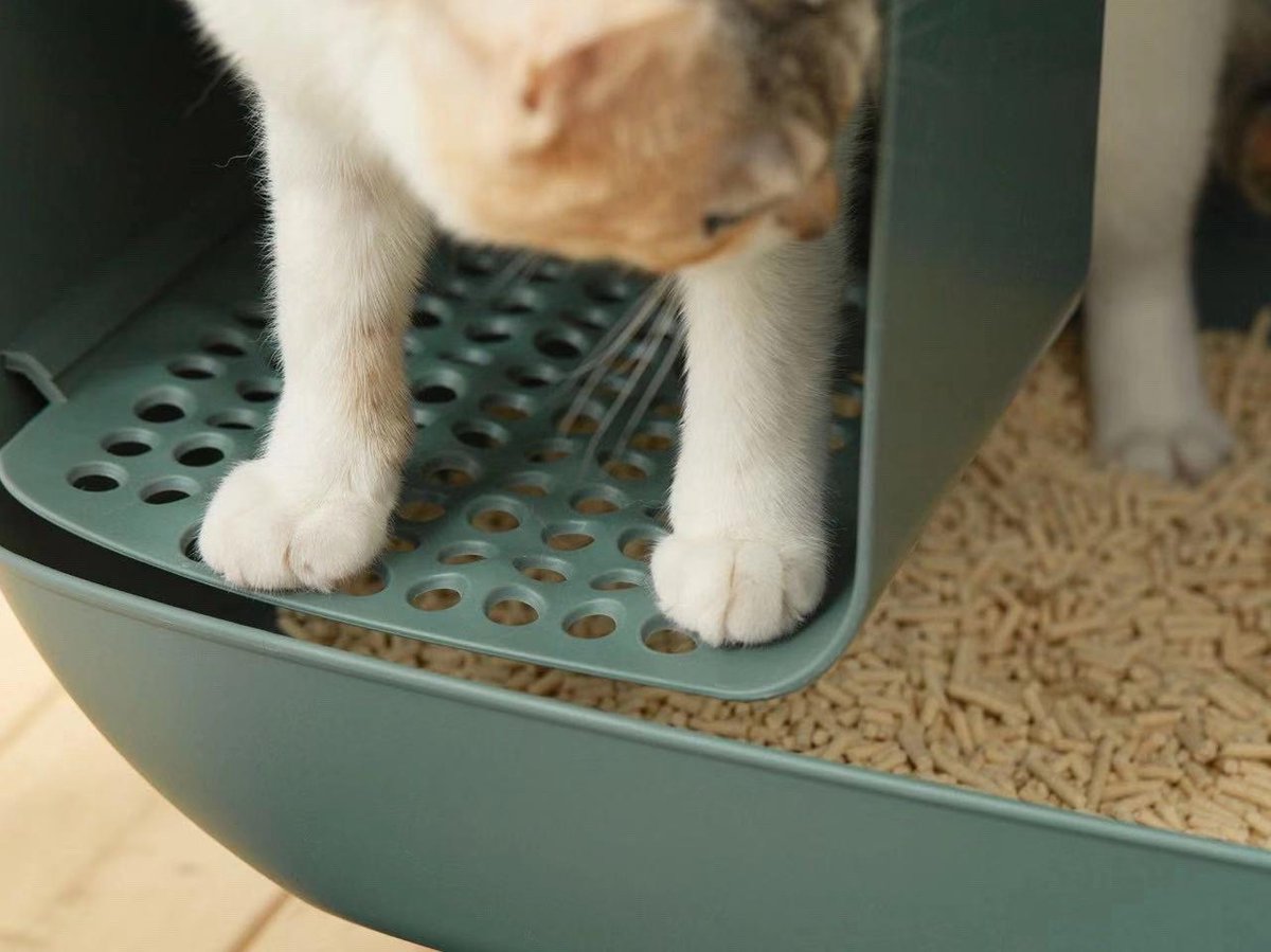  MakeSure Kattenbak Met Lade - Groen - 60 X 38 X 45 Cm - Design