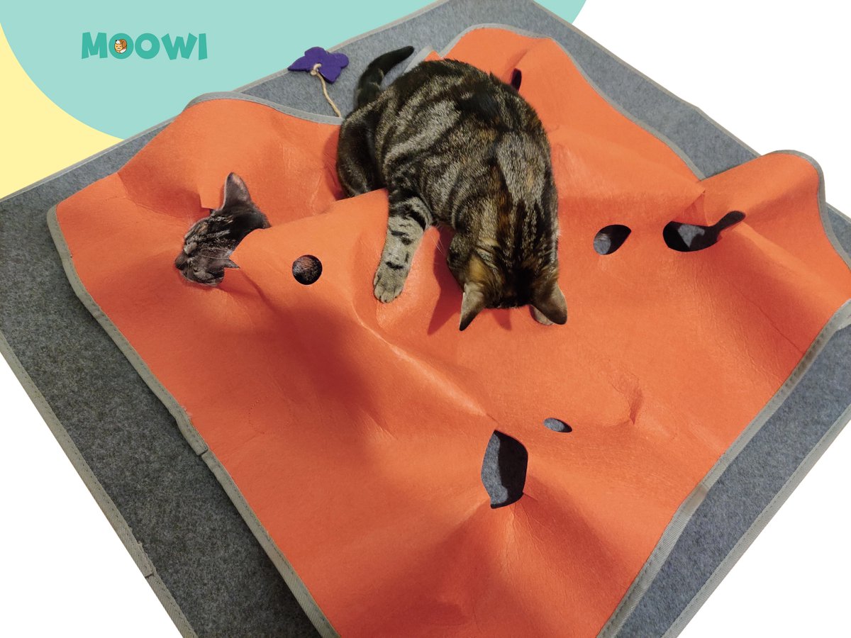  Moowi - Katten Speel Kleed – Kattentunnel – Hide And Seek Spel – Deken Kat – Kattenspeelgoed – Speelmat Katten Grijs – Incl. 2 Sisal Ballen En Verenspeeltje