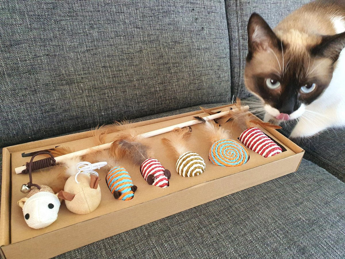  Make Life Beautiful® - Kattenspeeltjes Set - 7-delig - Kattenspeelgoed - Kattenhengel - Speelmuisjes - Kattenspeelgoed Set