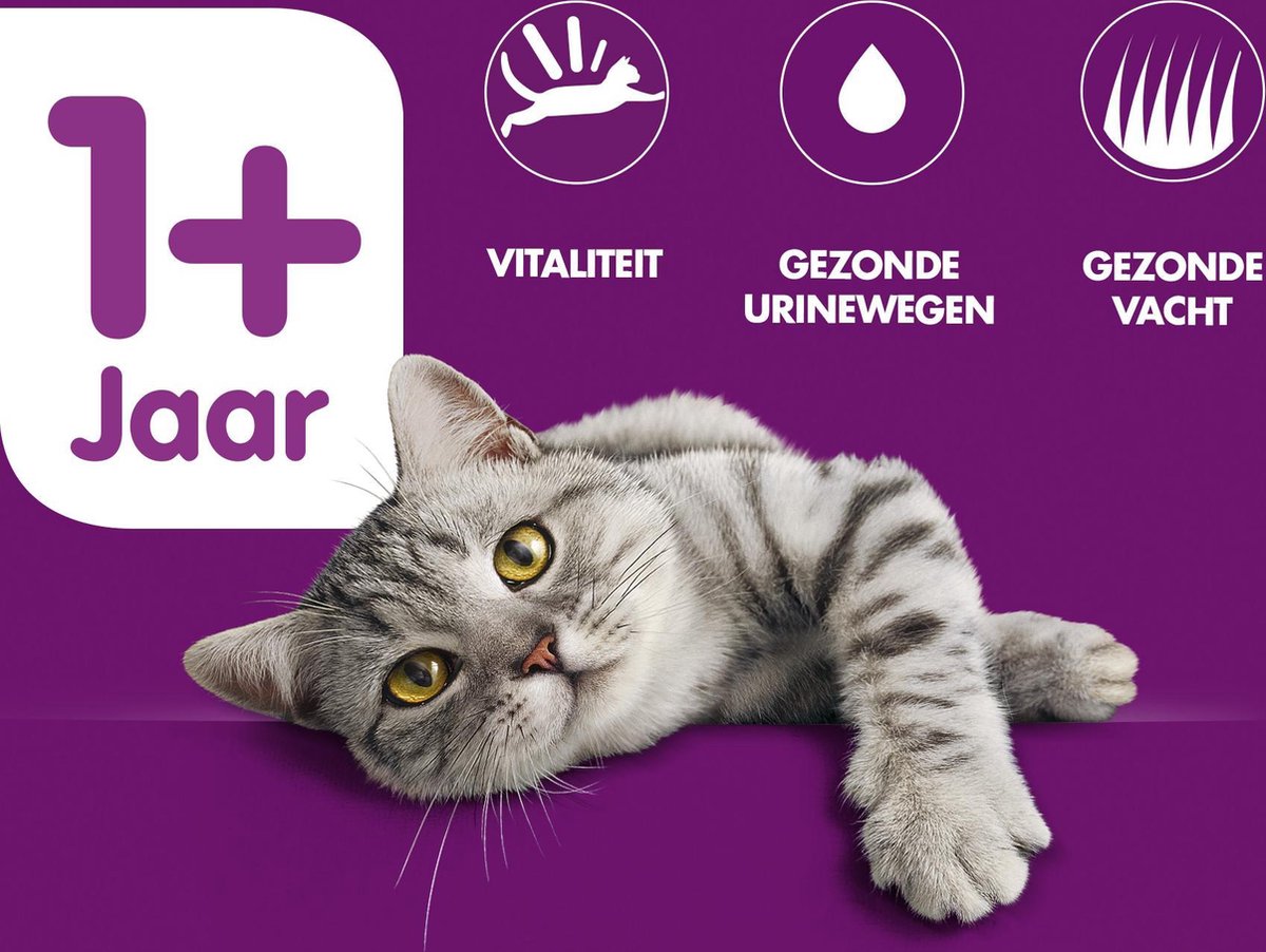  Whiskas 1+ Adult Katten Droogvoer - Rund - 3,8 Kg