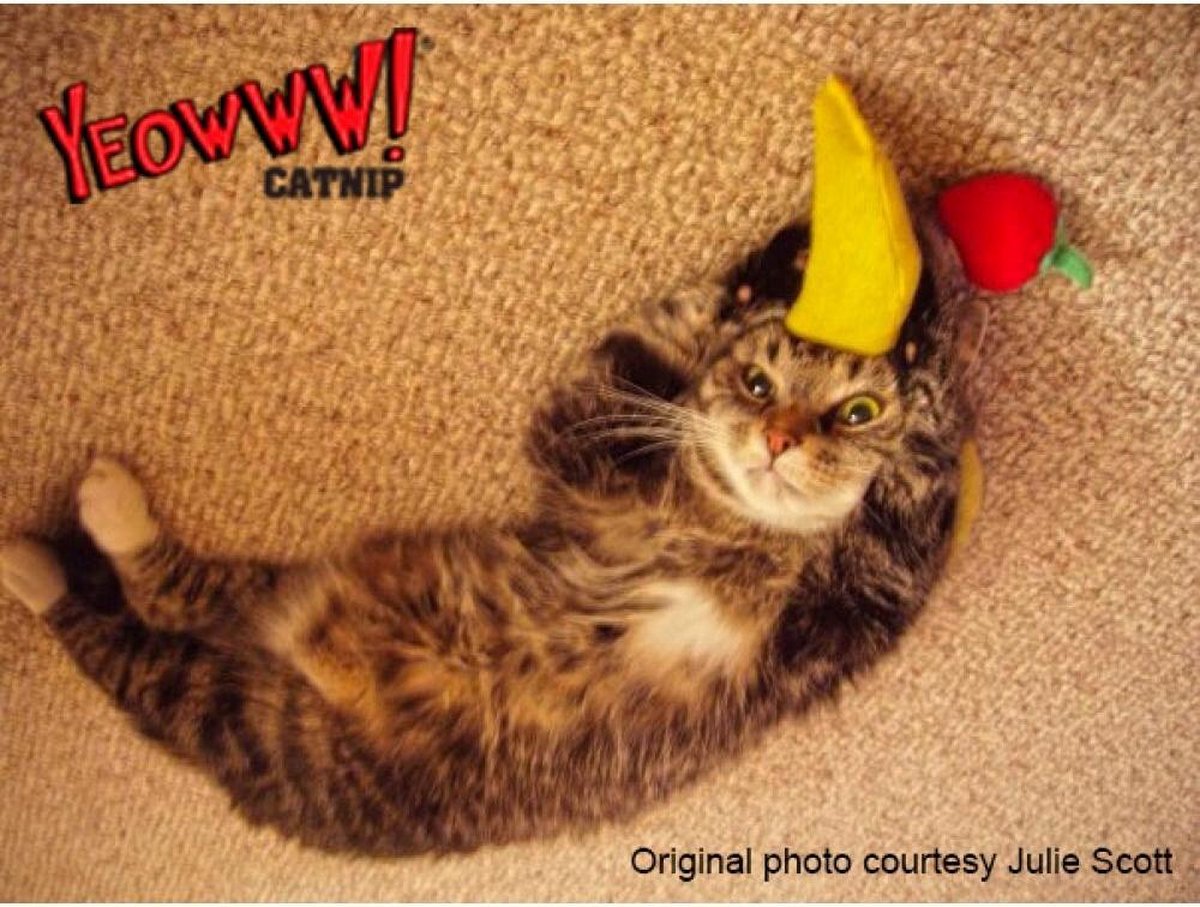  Yeowww! Chicata Banana - Speeltje Voor Katten Met Kattenkruid - De Meest Krachtige Catnip Ter Wereld – Onweerstaanbaar – Katoen – 17.7 Cm - Geel