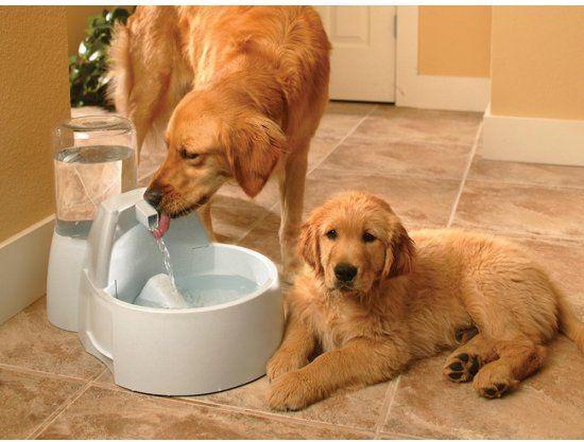  Petsafe Drinkwell Platinum - Drinkfontein - 5 L