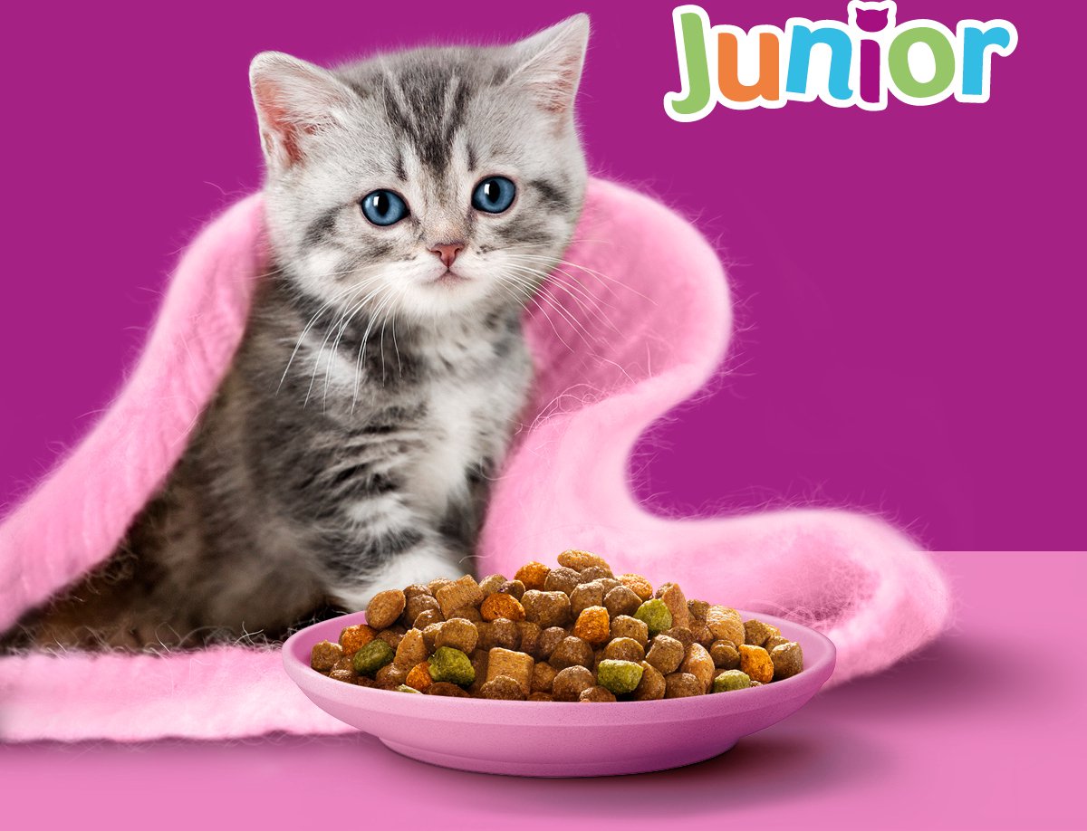  Whiskas Junior - Kattenbrokken - Kip - Zak 6 X 1,9 Kg
