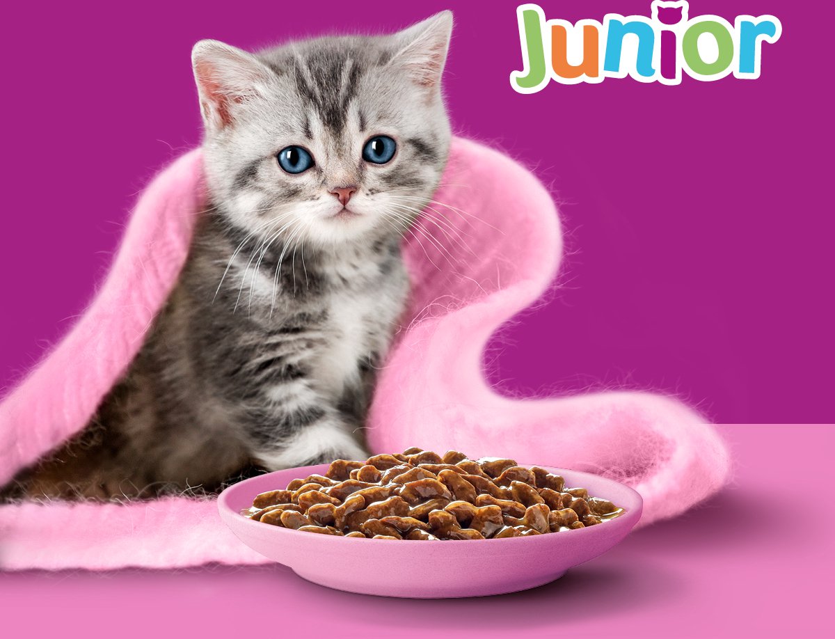  Whiskas Junior Natvoer - Classic - Selectie In Saus - Maaltijdzakjes 48 X 85 G
