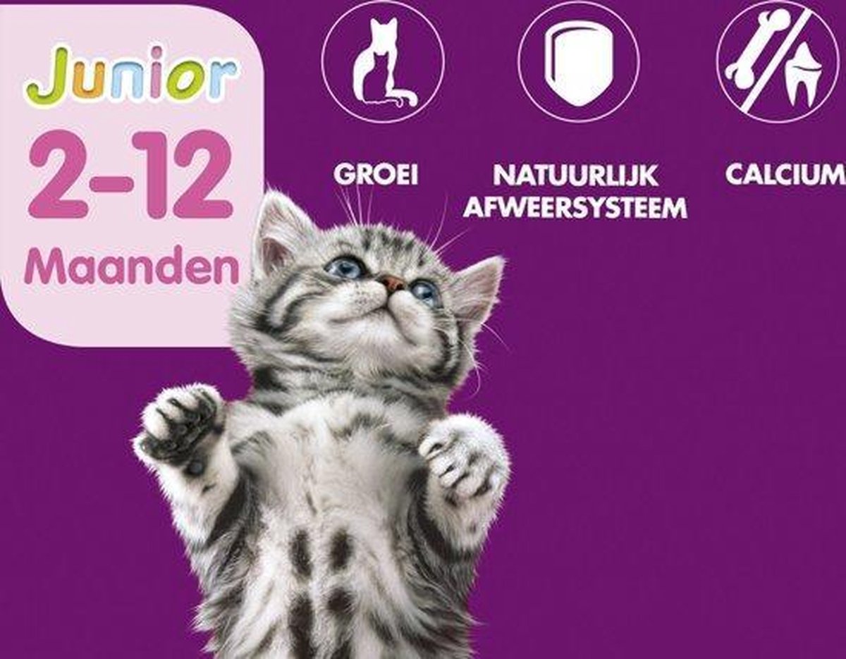  Whiskas Junior Katten Natvoer - Classic Selectie In Saus - 48 X 100g