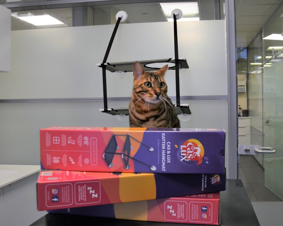  Cas &amp; Lux Relaxerende Hangmat Voor Katten - Inclusief 2 Niveau's Met Sterke 30kg Draagkracht - Kattenhangmat - Kattenhangmat Raam – Kattenmand - Kattenhuis - Kattenkussen - Hangmat Kat - Kattenbed