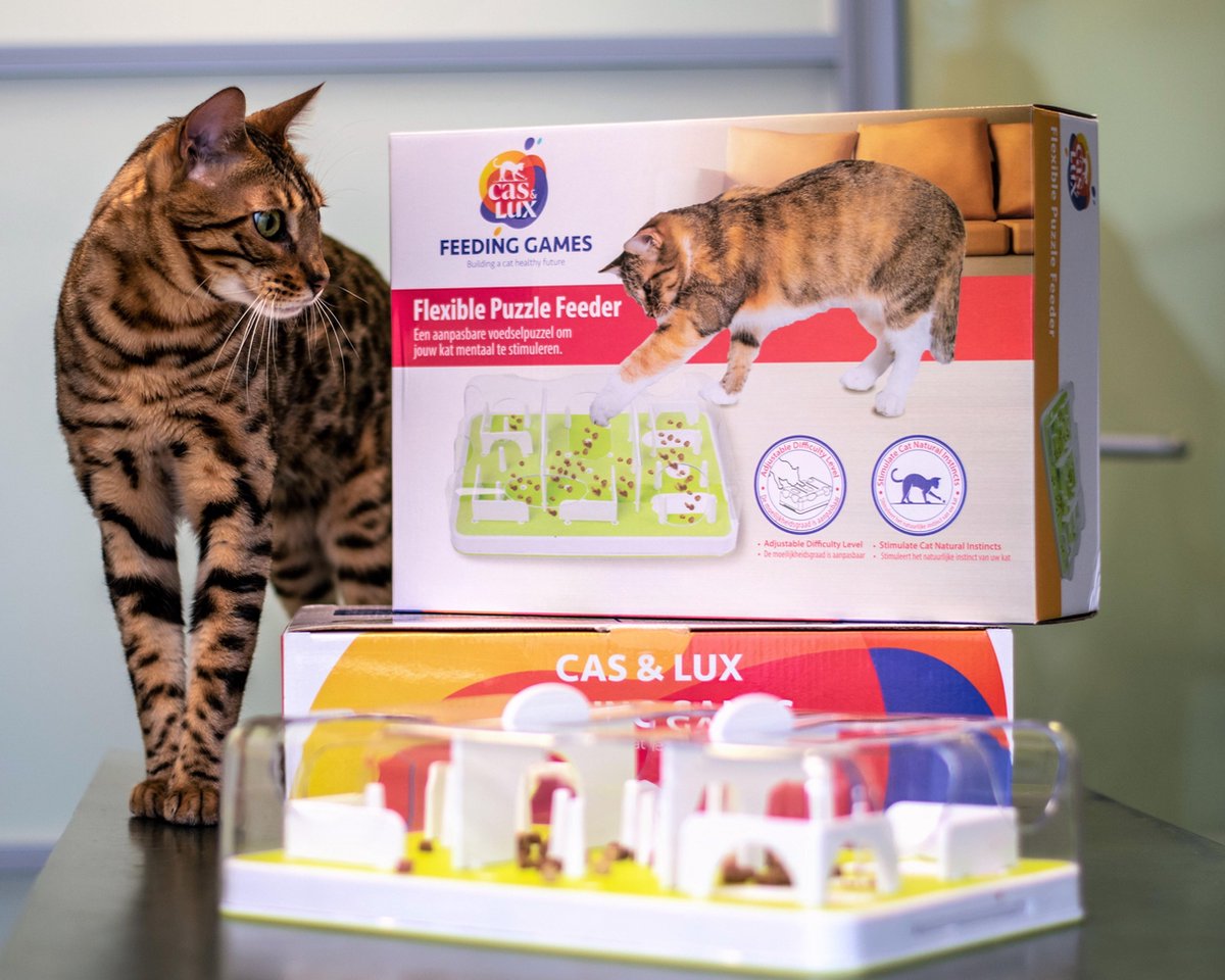  Cas &amp; Lux Modulaire Puzzel Voederbak Voor Katten - Anti Schrokbak Kat - Inclusief 3 Verschillende Standen - Stijlvol Design - Voerpuzzel Kat - Slowfeeder - Kattenspeeltjes - Puzzel Kat - Anti Schrok
