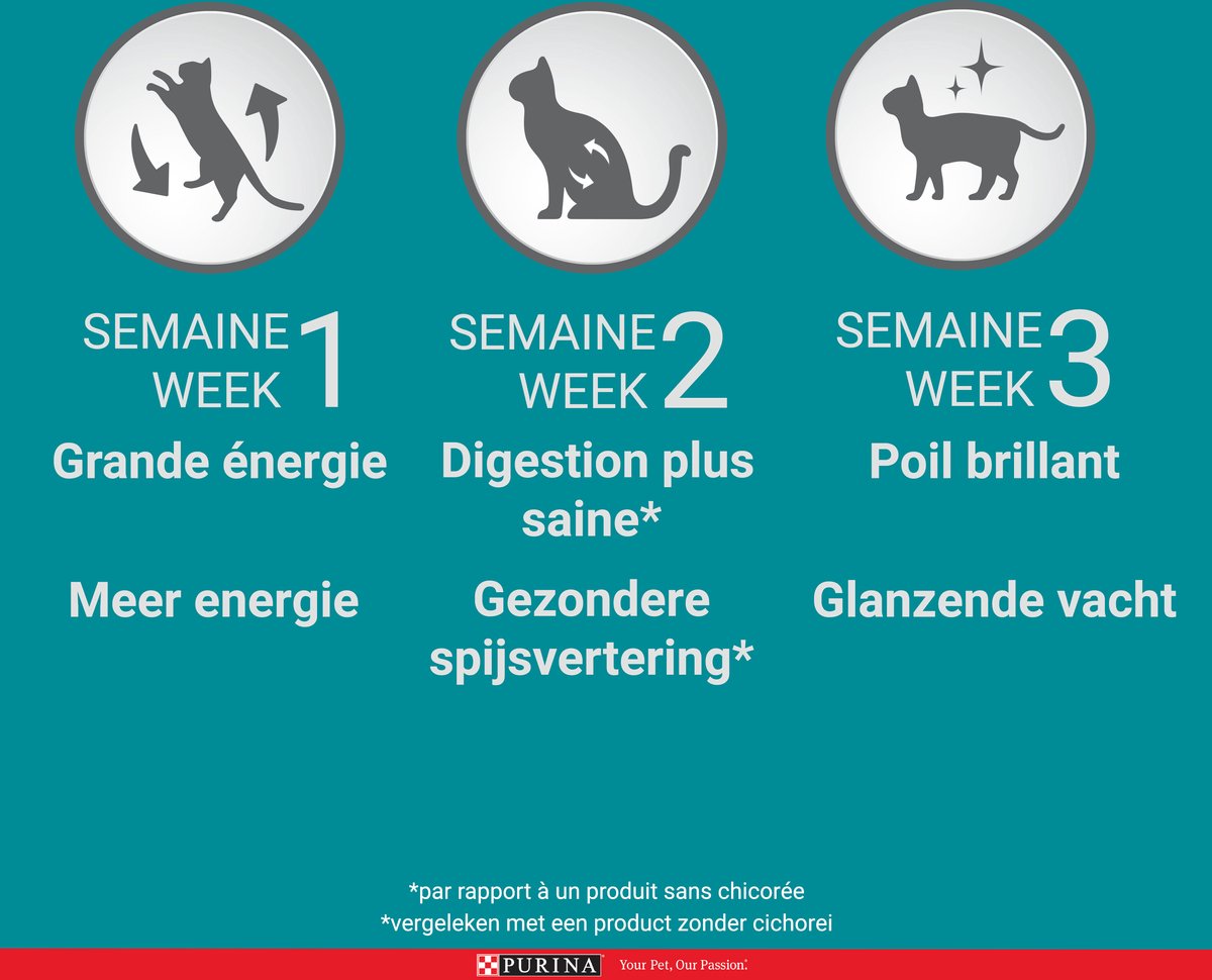  Purina One Sensitive - Kalkoen/Rijst - Kattenvoer - 800 G
