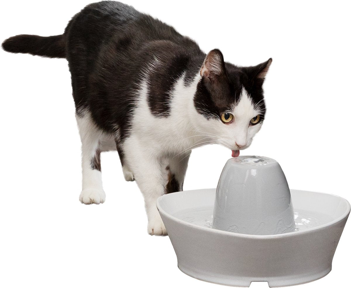 PetSafe® Streamside Ceramic Pet Fountain - Keramische Drinkfontein Voor Katten En Kleine Honden - Water Borrelt Zacht Over De Toren - Door Het Design Van Alle Kanten Bereikbaar - 1,8 Liter - PetSafe Streamside