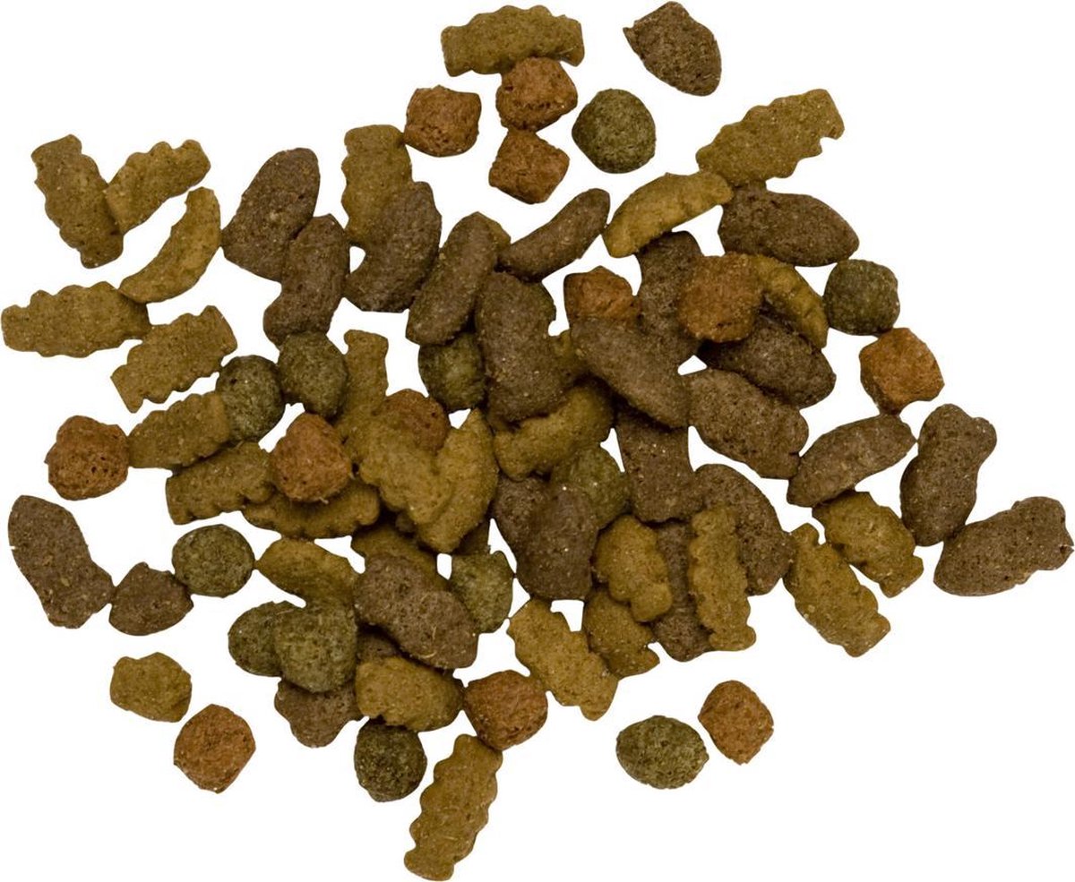  Pets Place Kat Adult - Kattenvoer - Zalm - 4 Kg