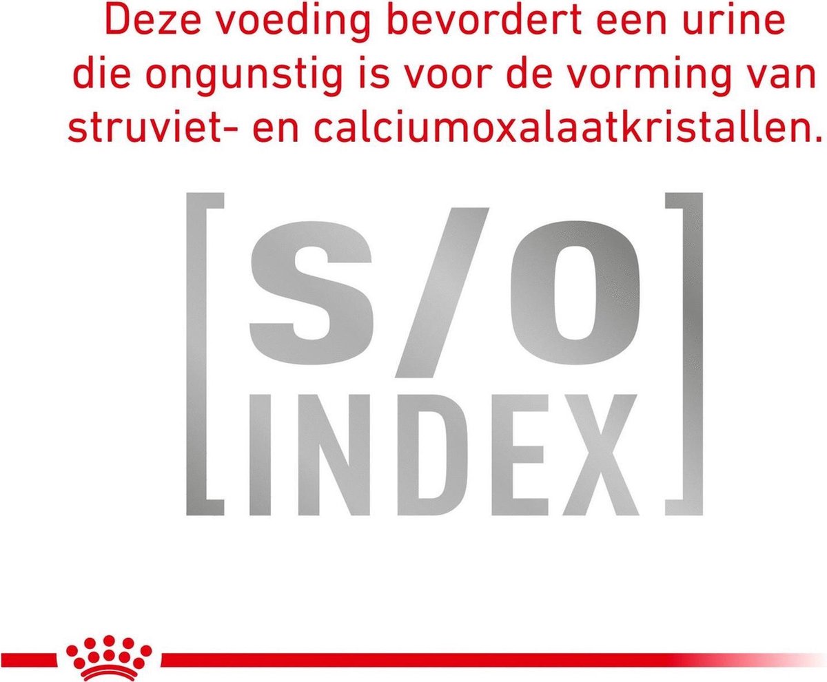  Royal Canin Anallergenic Kattenvoer 4 Kg