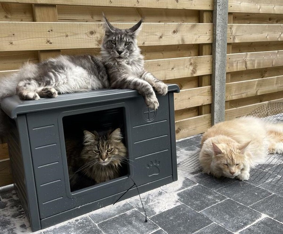  RHRQuality Kattenhuis Voor Binnen En Buiten Kattenhok Villa De Luxe Grijs