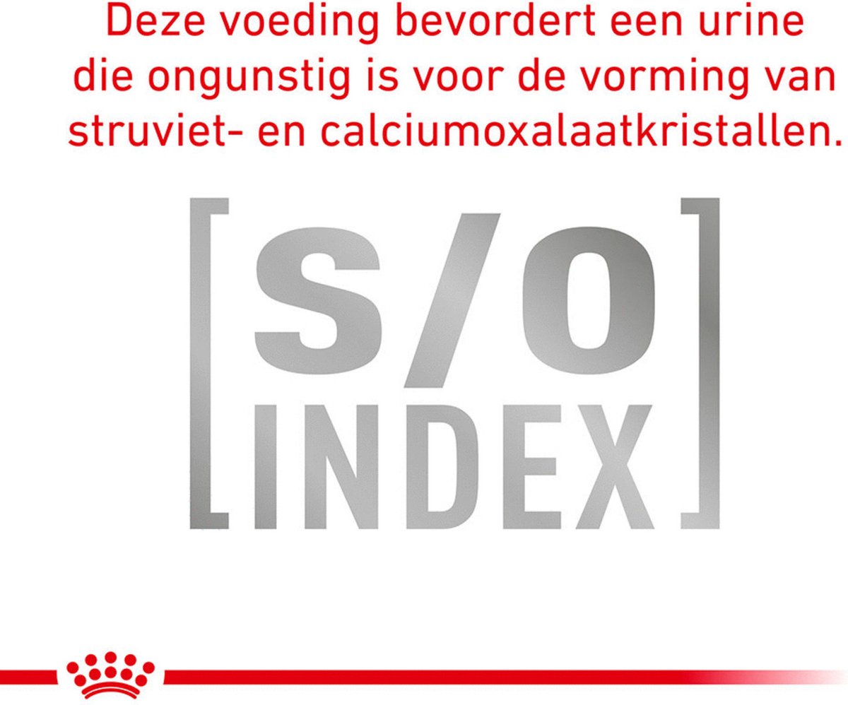  Royal Canin Veterinary Diet Cat Anallergenic - Kattenvoer - 2 Kg