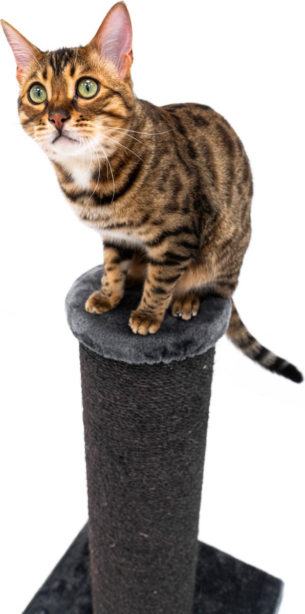  Petrebels Savannah 86 Krabpaal - Pepper - 20 Cm Stam - Zwaar En Stabiel
