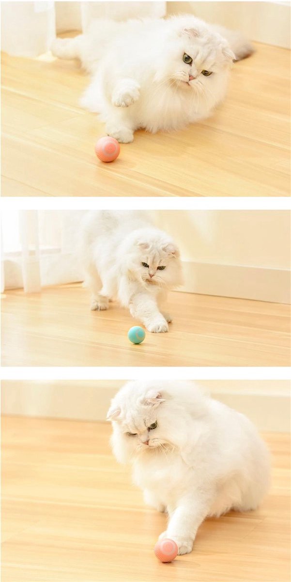  Otiume Slimme Katten Speeltje - Interactieve Zelf Rollende Bal Voor Katten - Kattenspeeltjes - USB Oplaadbaar- Turquoise