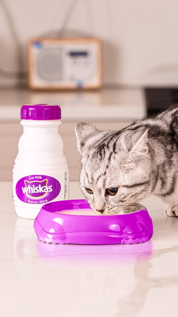  Whiskas Katten Melk - 15 Flesjes X 200 Ml