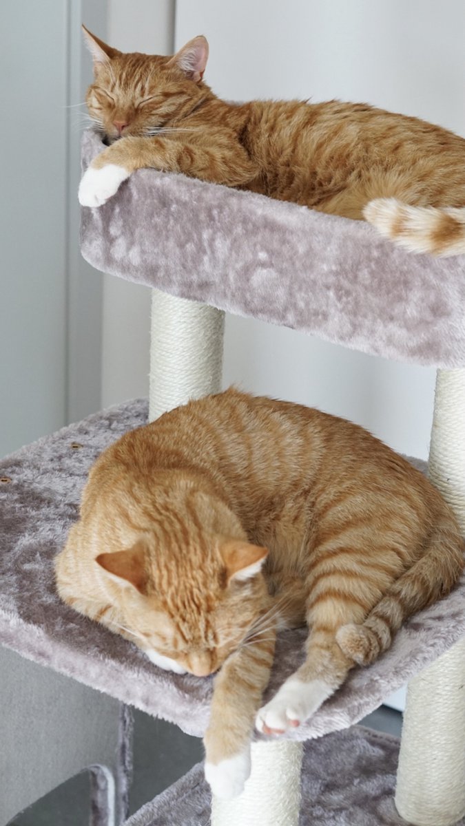  Petrebels Little Rock 99 Katten Krabpaal - Cappuccino - 99 Cm - Stabiel