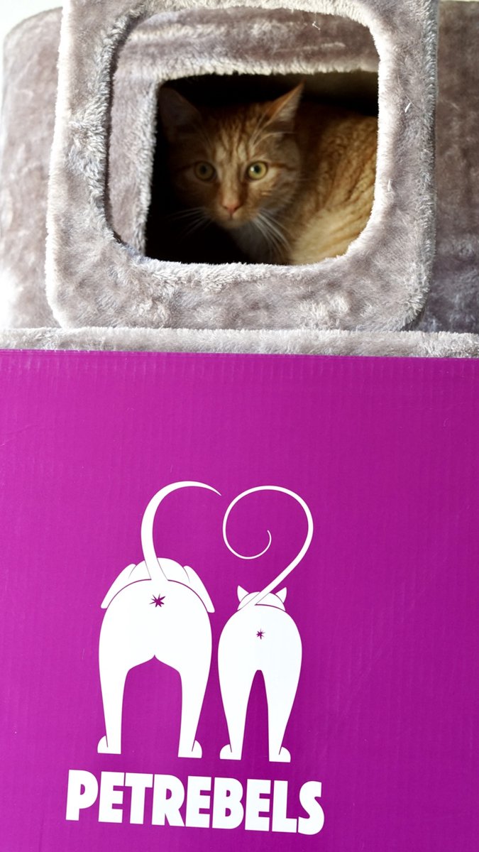 Petrebels Little Rock 99 Katten Krabpaal - Cappuccino - 99 Cm - Stabiel