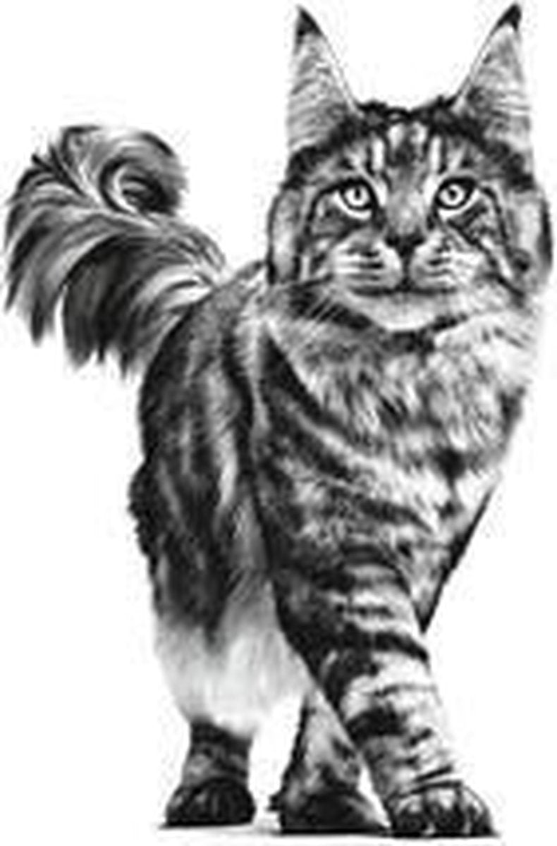  Royal Canin Sensitivity Control - Kip - Kattenvoer - 12 X 85 G