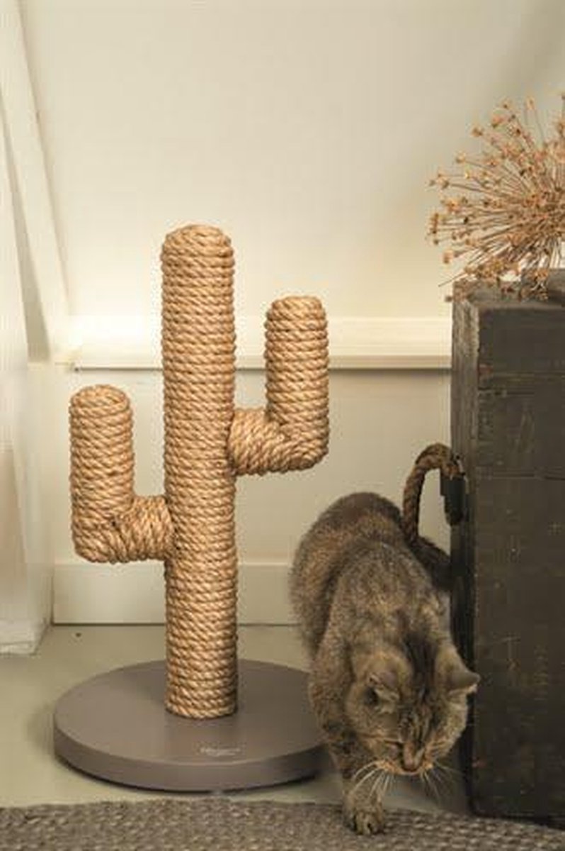  Designed By Lotte Houten Cactus - Krabpaal - Taupe - 35 X 35 X 60 Cm