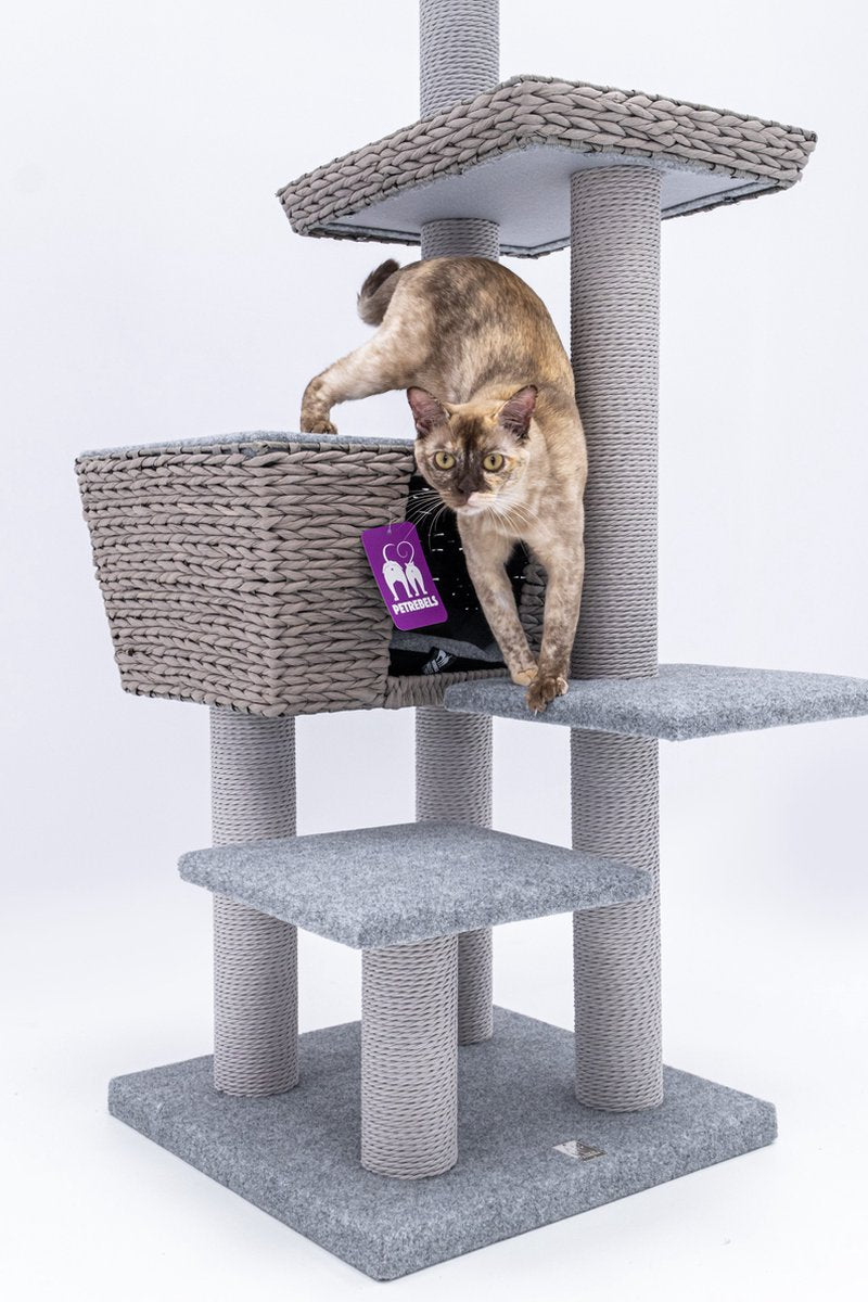  Petrebels Caribbean Love 141 Krabpaal - Grijs - 141 Cm - Natuurlijke Materialen