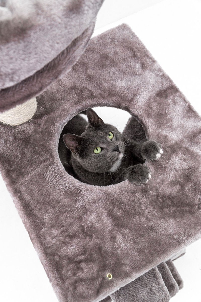  Petrebels Seattle 89 Krabpaal - Cappuccino - Met Hangmat - 48 X 35 X 89 Cm