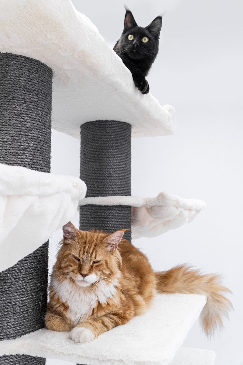  Petrebels Ragdoll 200 Krabpaal Voor Grote Katten - Off White - 20 Cm Stam