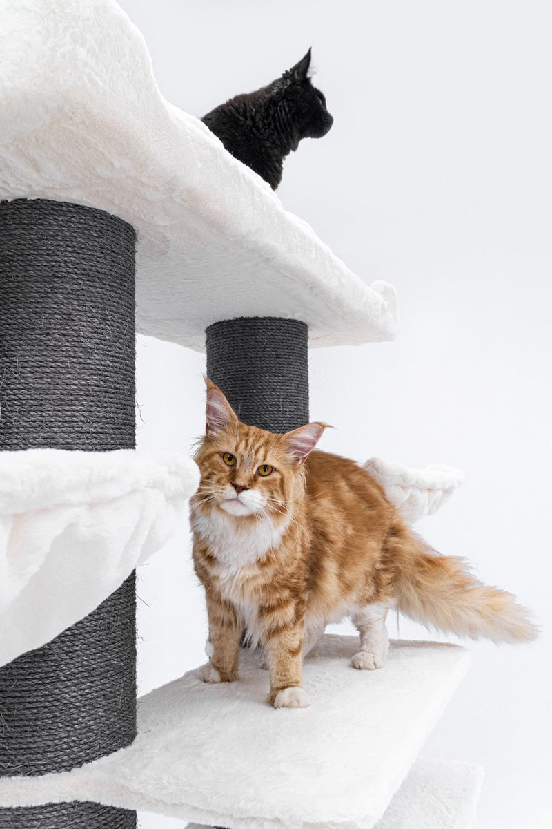  Petrebels Ragdoll 200 Krabpaal Voor Grote Katten - Off White - 20 Cm Stam